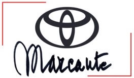Marcante Automobili S.r.l. - Altavilla Vicentina