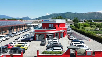 Lupi Auto S.p.A. - Prato