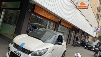 Leminiauto - Rinaudello e Frigoli S.r.l.